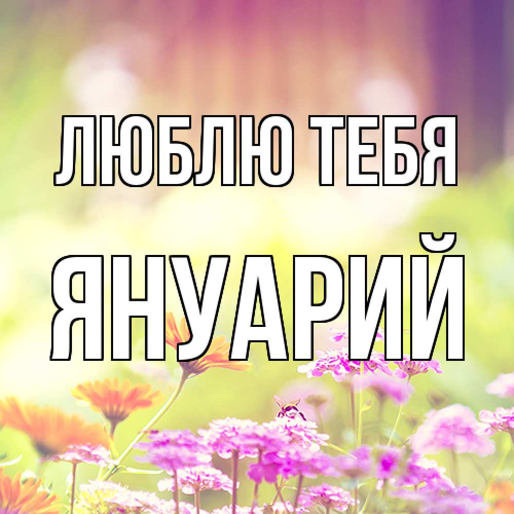 Открытка на каждый день с именем, Януарий Люблю тебя цветы весна Прикольная открытка с пожеланием онлайн скачать бесплатно 
