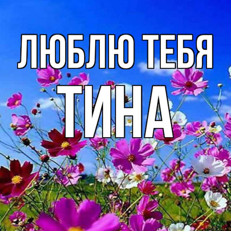 Открытка с именем, Тина, Люблю тебя
