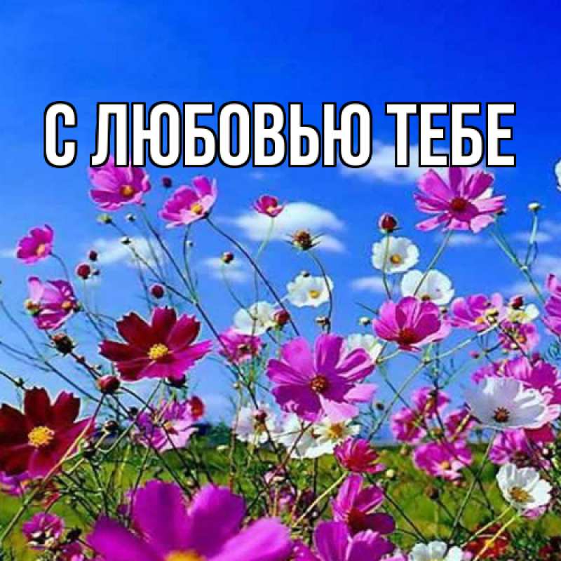 Открытка с именем, Юра, Люблю тебя