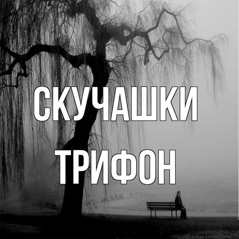 Картинка Скучашки, Трифон