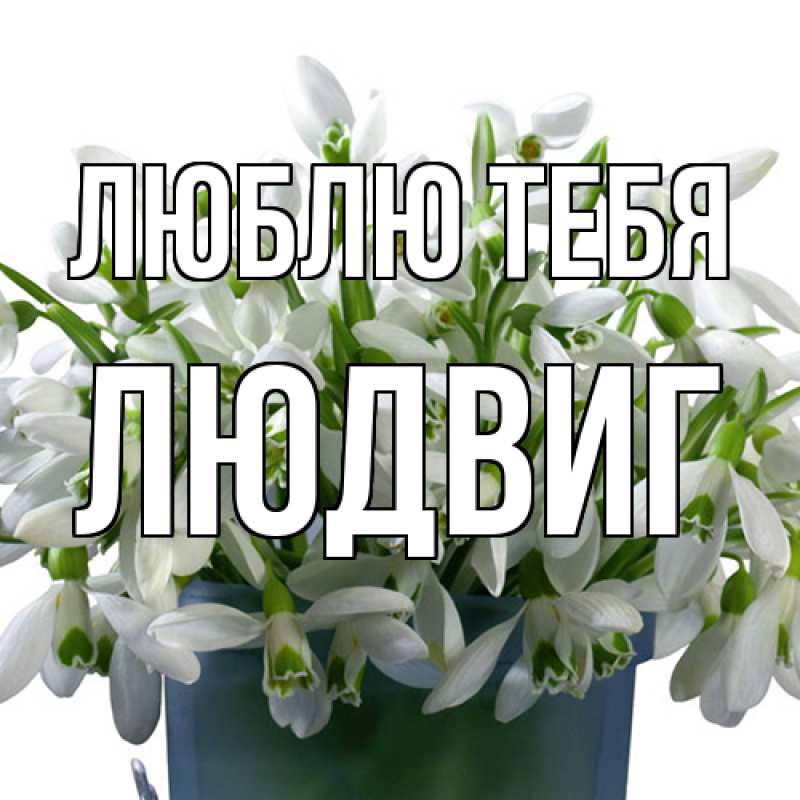 Открытка с именем, Людвиг, Люблю тебя