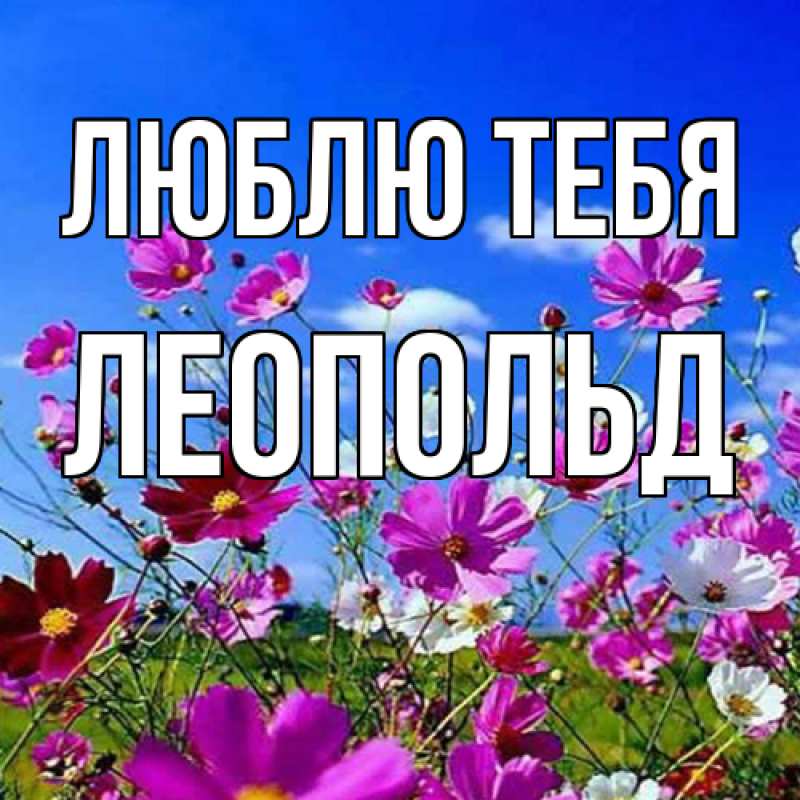 Картинка Люблю тебя, Леопольд