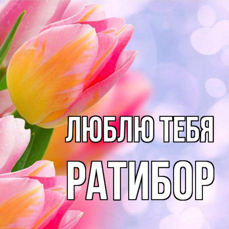 Картинка Люблю тебя, Ратибор