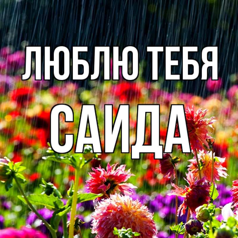 Картинка Люблю тебя, Саида
