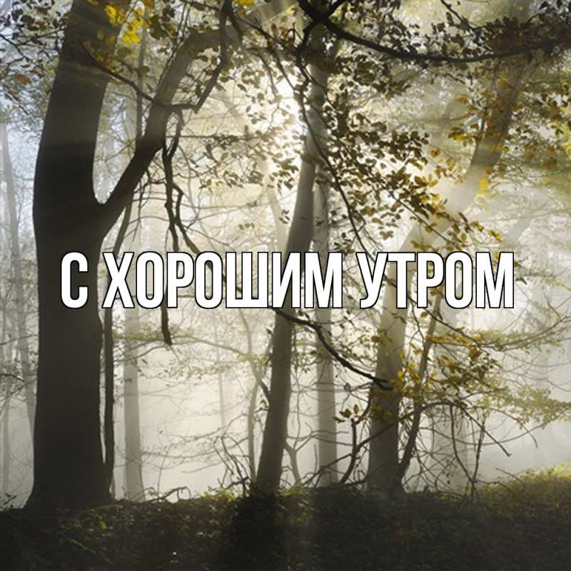 Картинка Скучашки, Густав