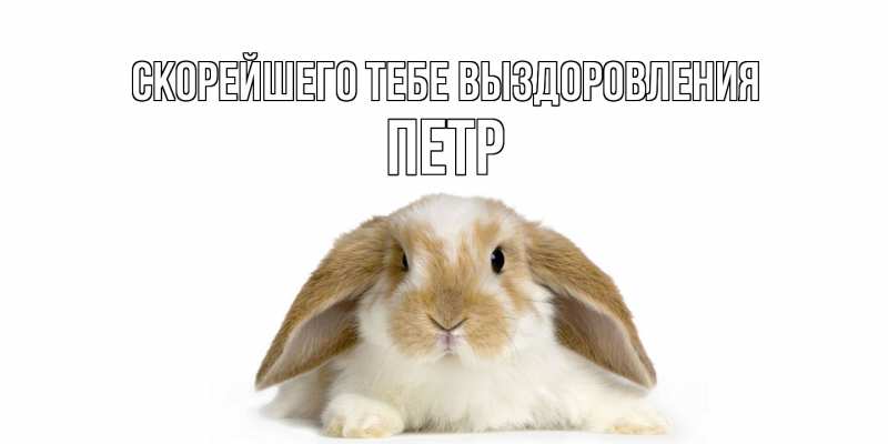 Картинка Скорейшего тебе выздоровления, Петр