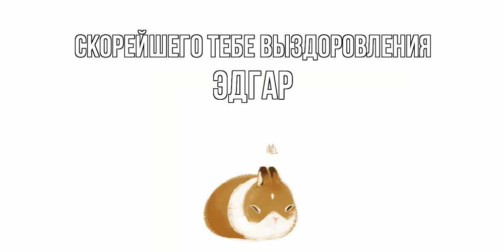Открытка на каждый день с именем, Эдгар Скорейшего тебе выздоровления морская свинка на открытке с пожеланиями не болеть Прикольная открытка с пожеланием онлайн скачать бесплатно 