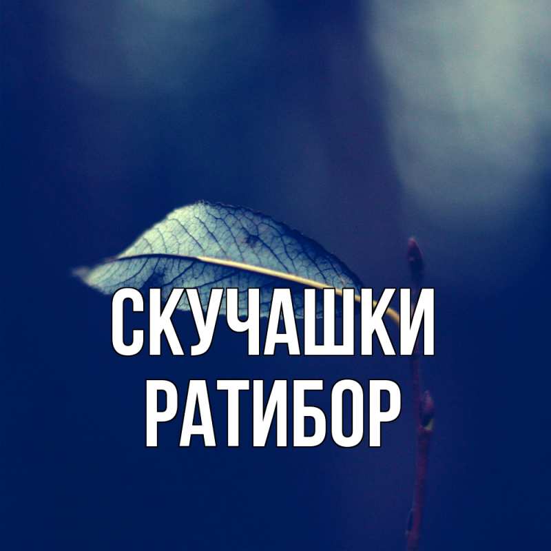 Картинка Скучашки, Ратибор