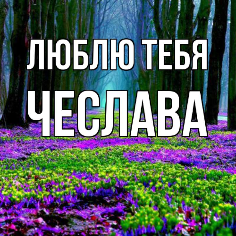 Картинка Люблю тебя, Чеслава