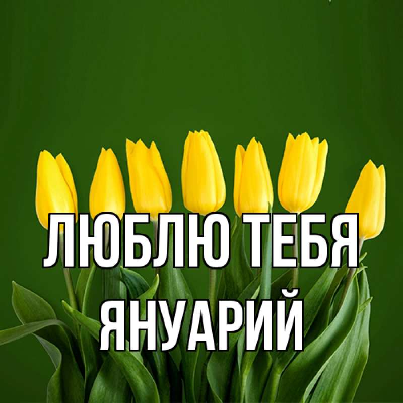 Картинка Люблю тебя, Януарий