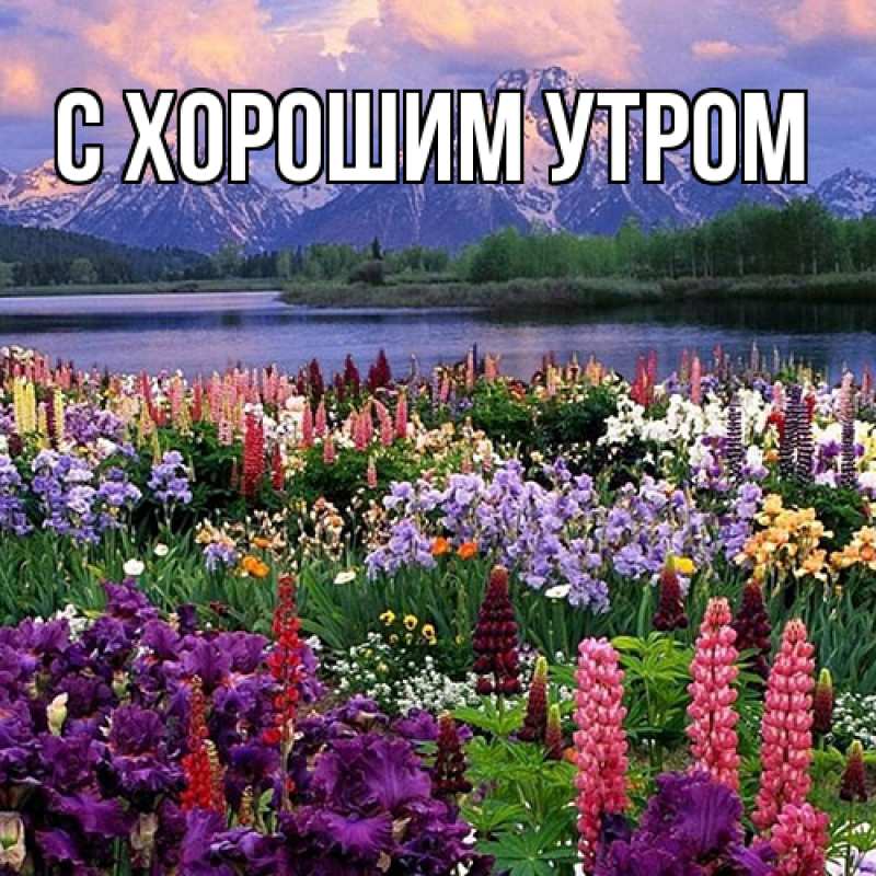 Картинка Люблю тебя, Петр