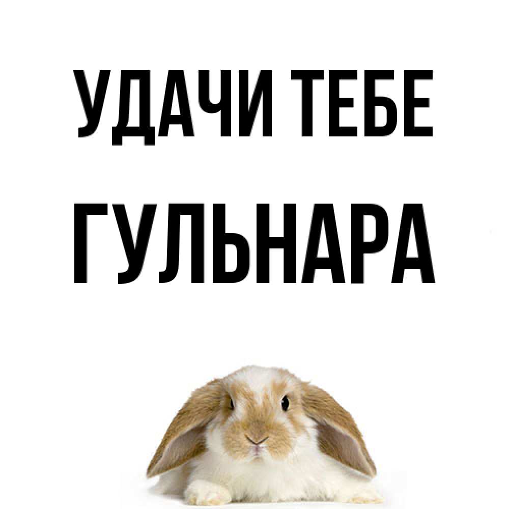 Открытка на каждый день с именем, Гульнара Удачи тебе открытки с произвольным текстом который можно вставить в открытку и создать ее самостоятельно бесплатно онлайн Прикольная открытка с пожеланием онлайн скачать бесплатно 