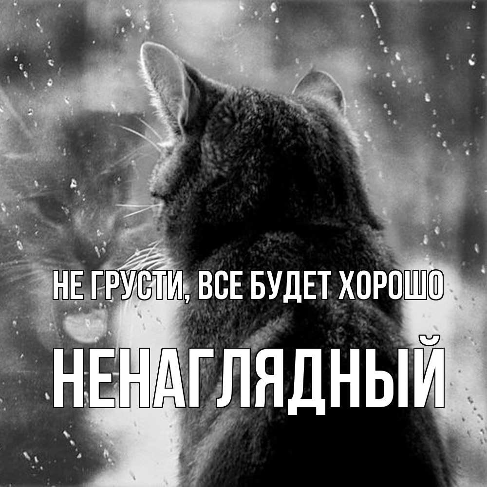 Открытка на каждый день с именем, Ненаглядный Не грусти все будет хорошо отражение кота 1 Прикольная открытка с пожеланием онлайн скачать бесплатно 