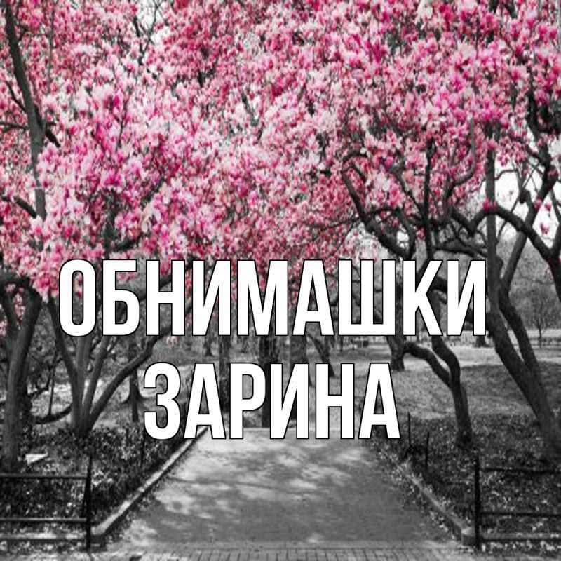 Открытка с именем, Зарина, Обнимашки