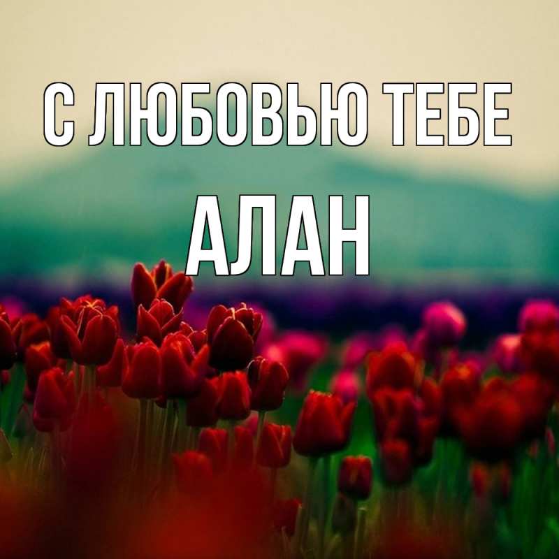 Картинка С любовью тебе, Алан