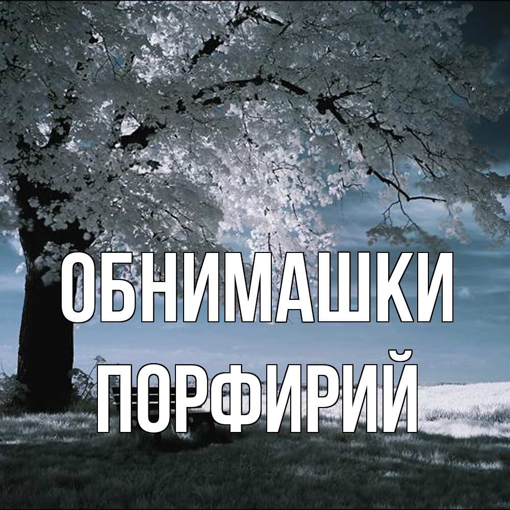 Открытка на каждый день с именем, Порфирий Обнимашки дерево Прикольная открытка с пожеланием онлайн скачать бесплатно 