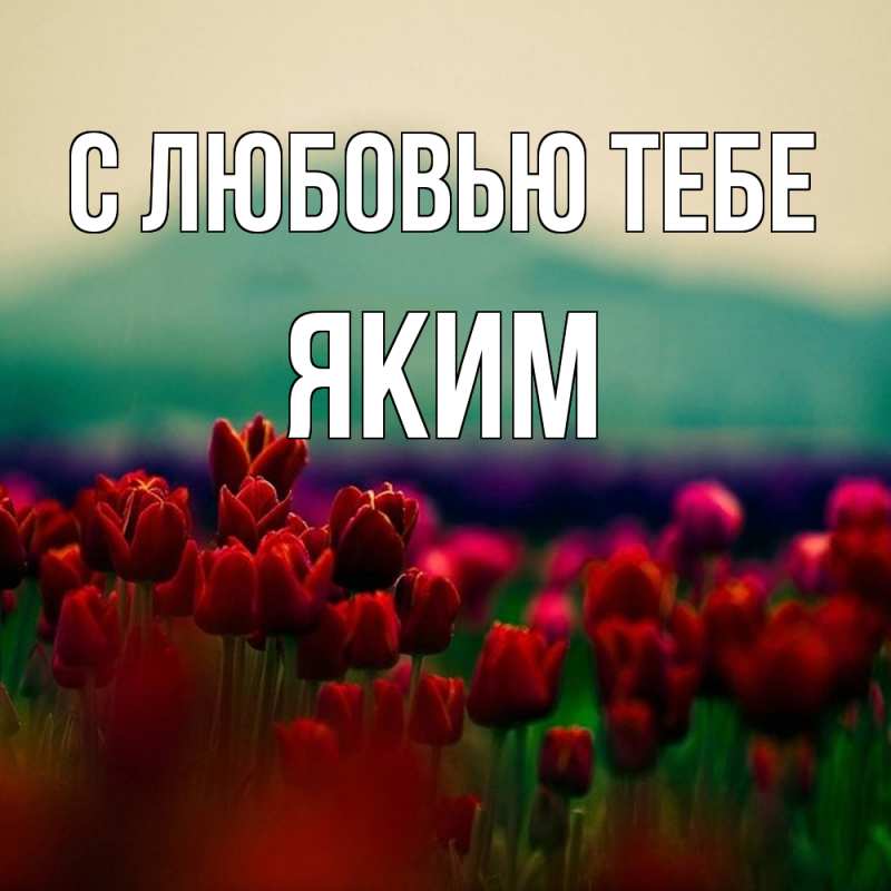 Картинка С любовью тебе, Яким