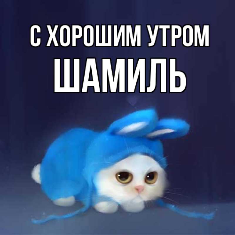 Картинка С хорошим утром, Шамиль
