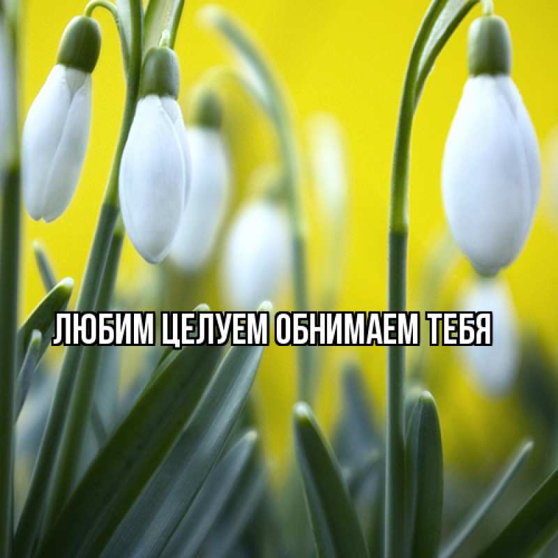 Картинка Люблю тебя, Ненаглядный мой