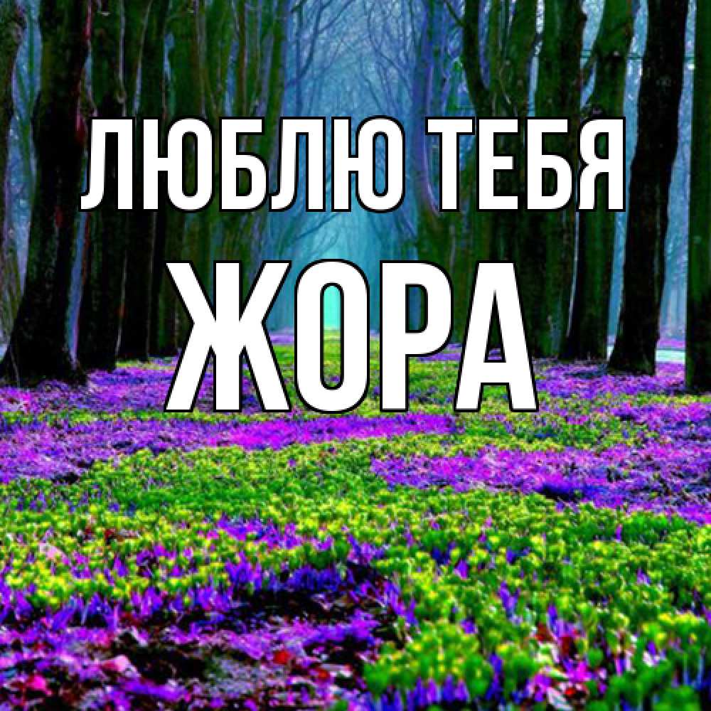Открытка на каждый день с именем, Жора Люблю тебя фиолетовые цветы в лесу 1 Прикольная открытка с пожеланием онлайн скачать бесплатно 