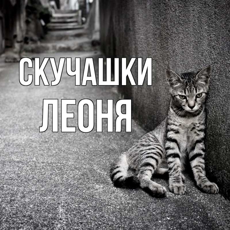 Картинка Скучашки, Леоня