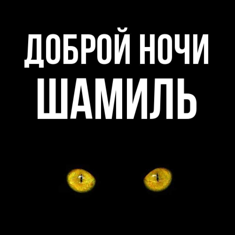 Картинка Доброй ночи, Шамиль