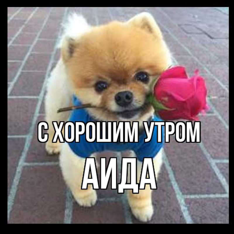 Открытка с именем, Аида, С хорошим утром