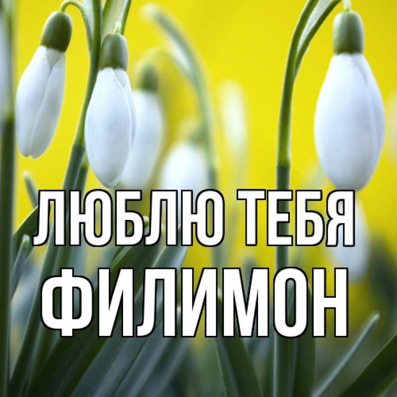 Картинка Люблю тебя, Филимон