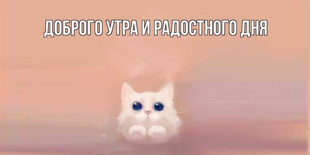 Открытка на каждый день с именем, Прокофий Отличного настроения кошка Прикольная открытка с пожеланием онлайн скачать бесплатно 