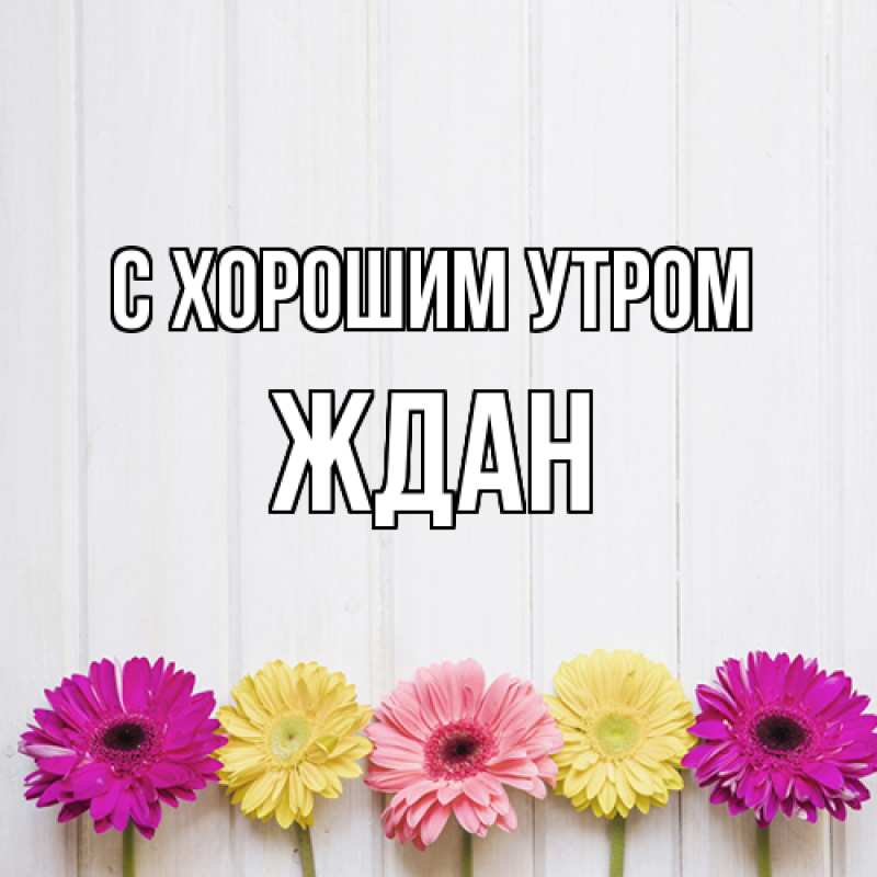 Картинка С хорошим утром, Ждан