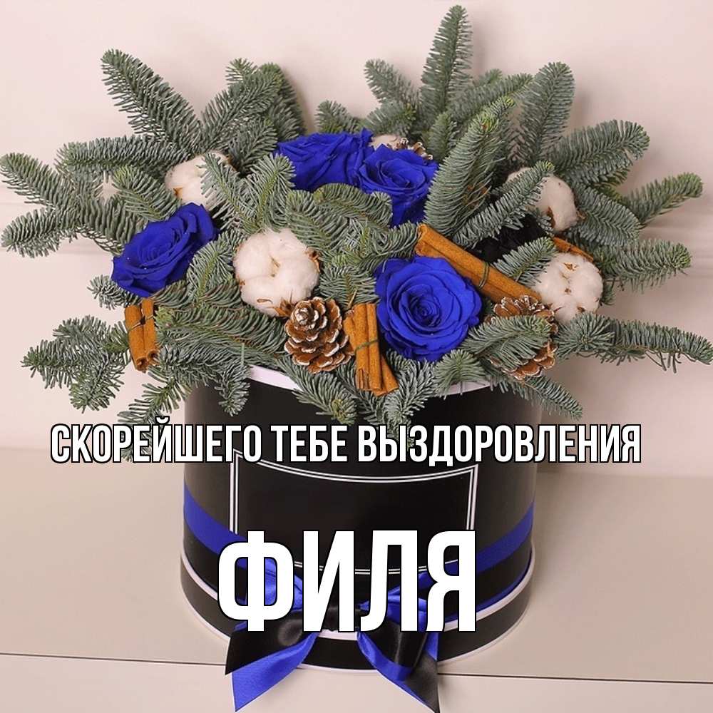 Открытка на каждый день с именем, Филя Скорейшего тебе выздоровления короче кто то загрузил эти шишки Прикольная открытка с пожеланием онлайн скачать бесплатно 