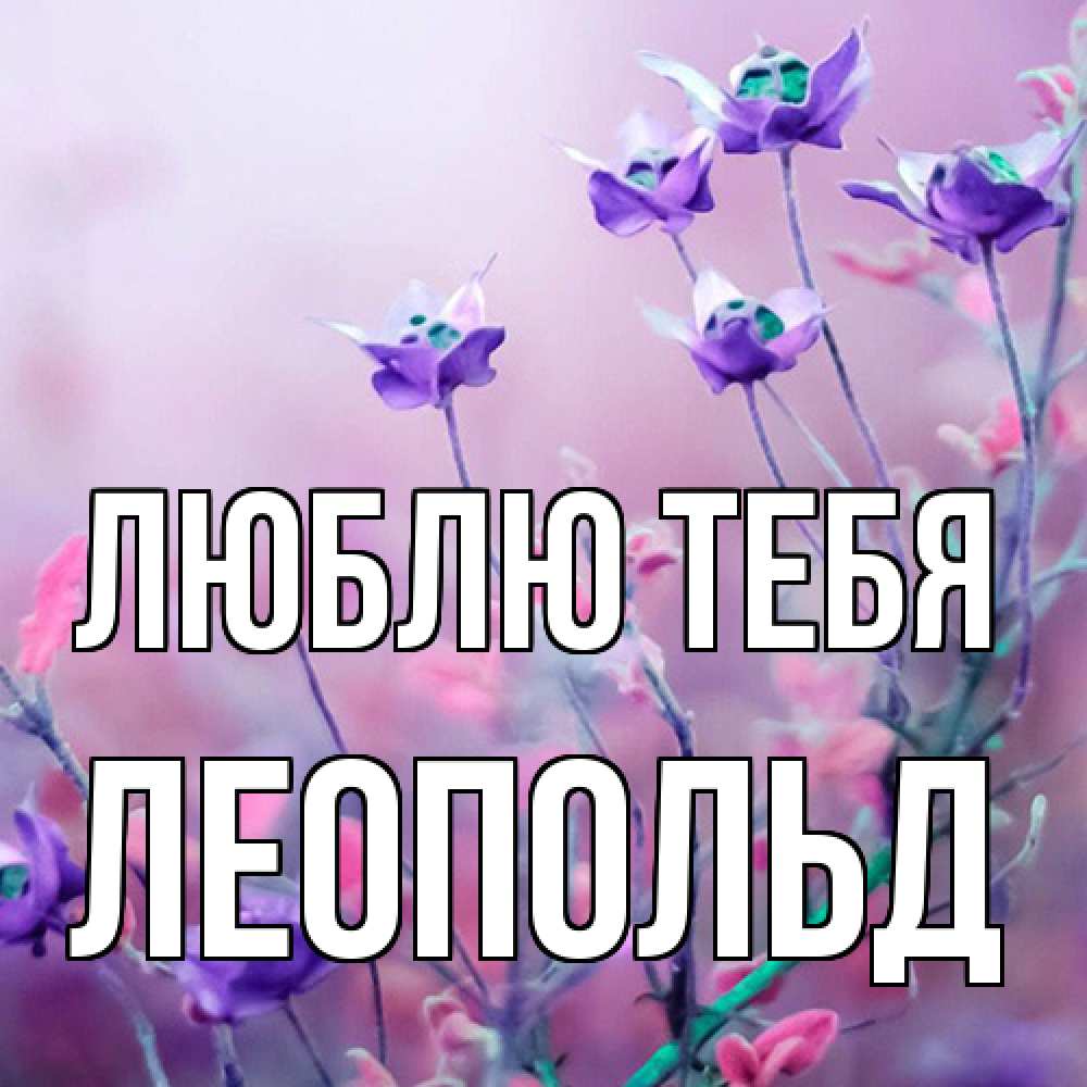 Открытка на каждый день с именем, Леопольд Люблю тебя международный женский день 2 Прикольная открытка с пожеланием онлайн скачать бесплатно 