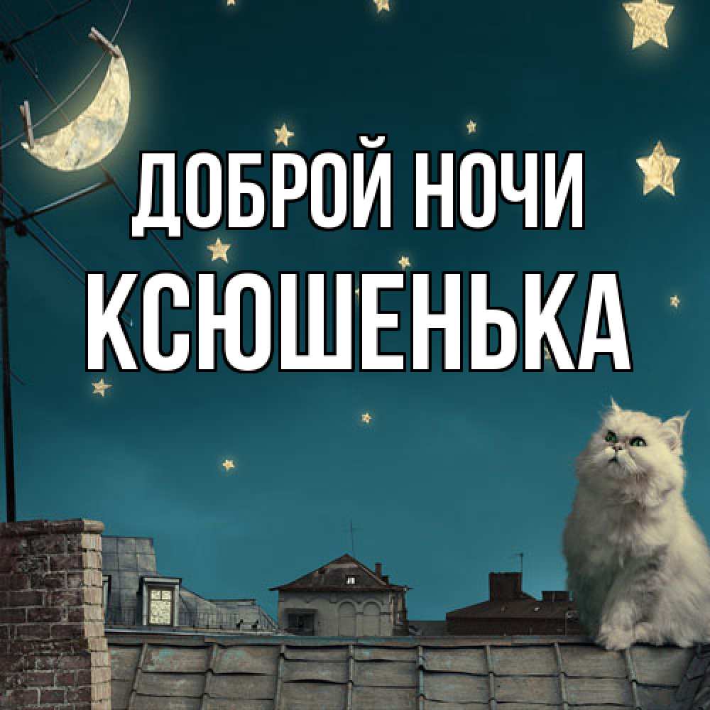 Открытка на каждый день с именем, Ксюшенька Доброй ночи белый кот сидит на крыше Прикольная открытка с пожеланием онлайн скачать бесплатно 