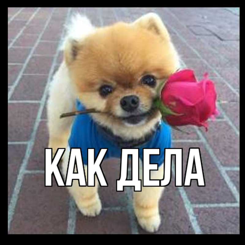 Картинка Как дела, 