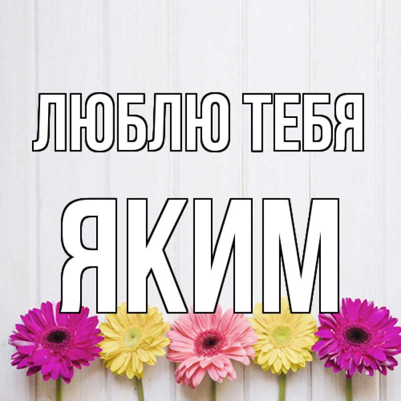Картинка Люблю тебя, Яким