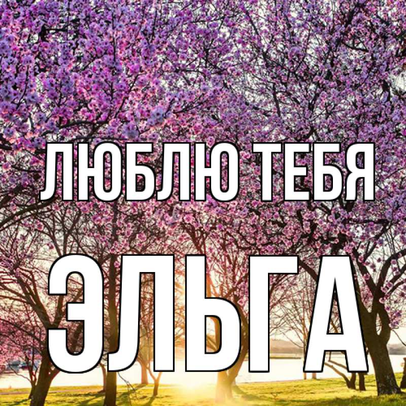 Картинка Люблю тебя, Эльга