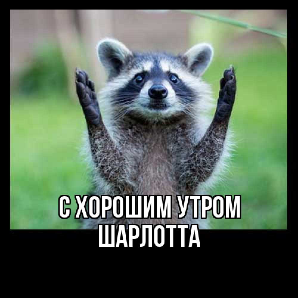 Открытка на каждый день с именем, Шарлотта С хорошим утром хорошее настроение утречком Прикольная открытка с пожеланием онлайн скачать бесплатно 