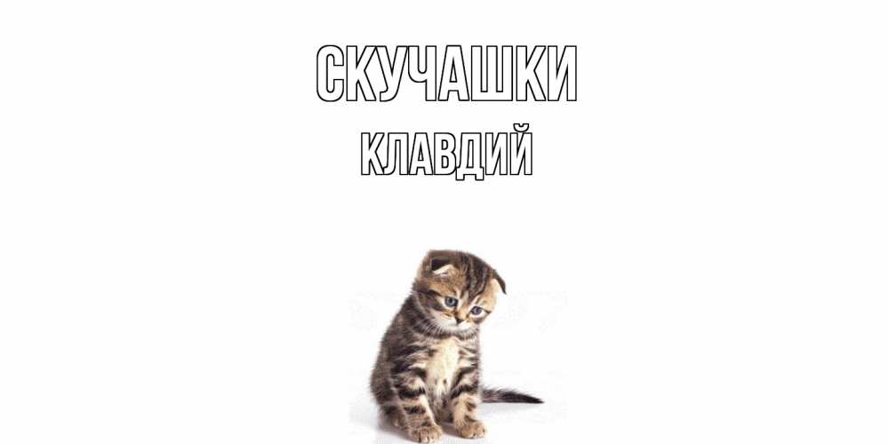 Открытка на каждый день с именем, Клавдий Скучашки кот Прикольная открытка с пожеланием онлайн скачать бесплатно 