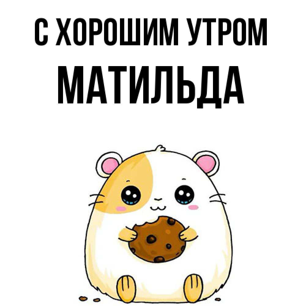 Открытка на каждый день с именем, Матильда С хорошим утром есть печеньку. Утречко Прикольная открытка с пожеланием онлайн скачать бесплатно 