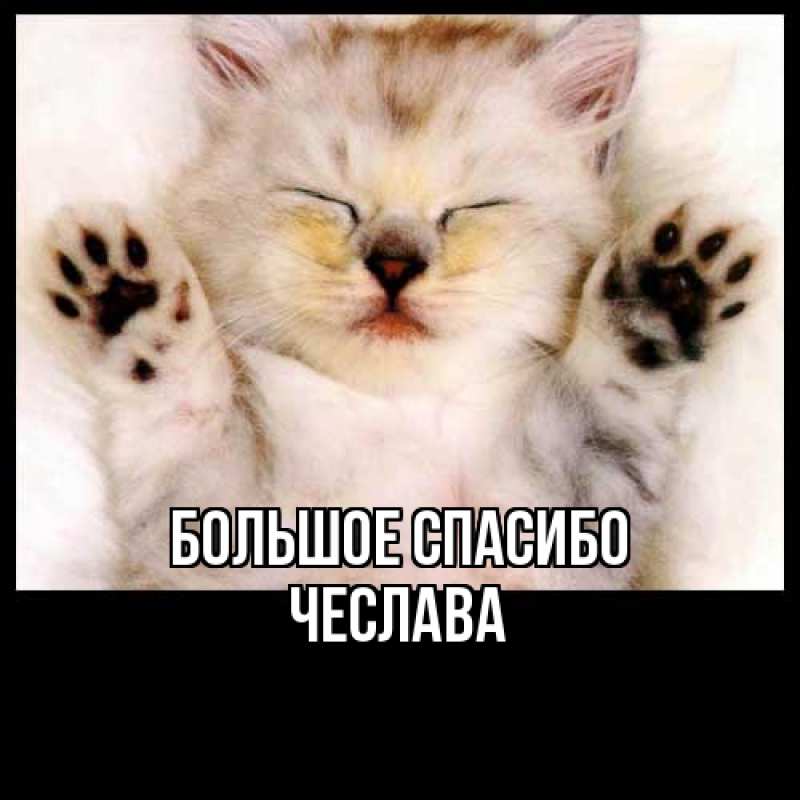Картинка Большое спасибо, Чеслава
