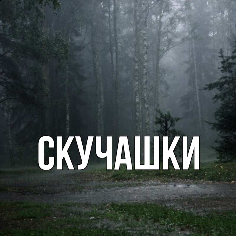 Картинка Скучашки, 