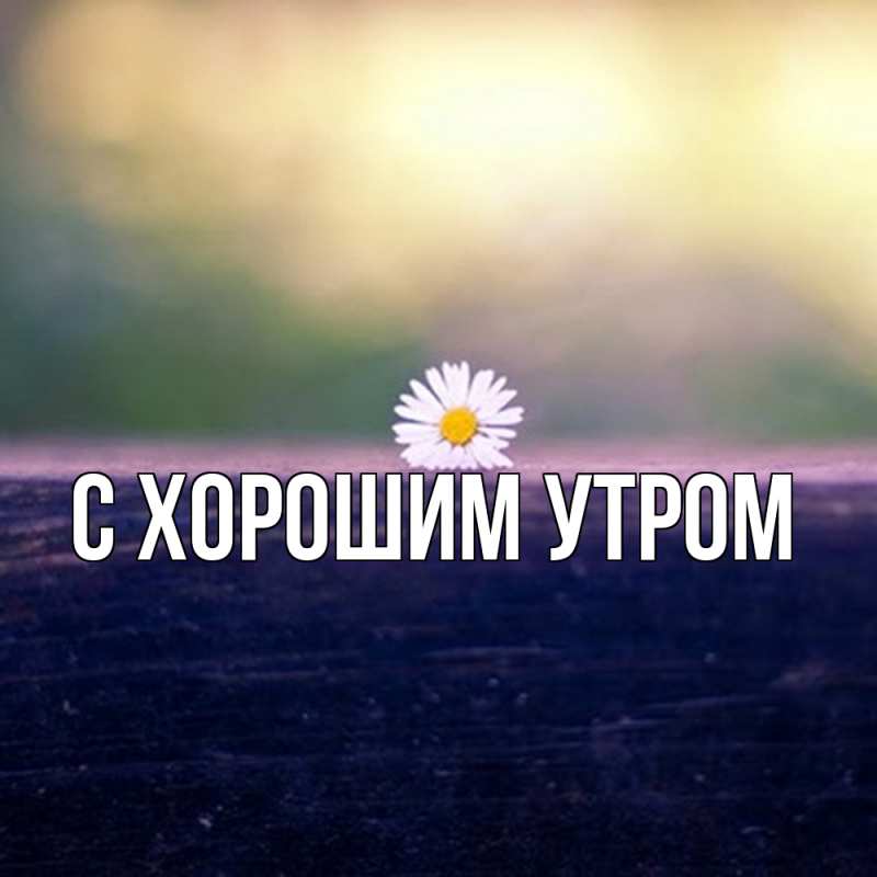 Картинка Скучашки, Дамира
