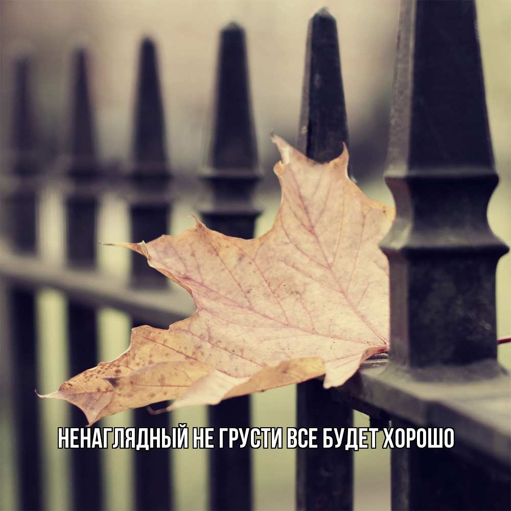 Открытка на каждый день с именем, Ненаглядный Не грусти все будет хорошо лист клена Прикольная открытка с пожеланием онлайн скачать бесплатно 