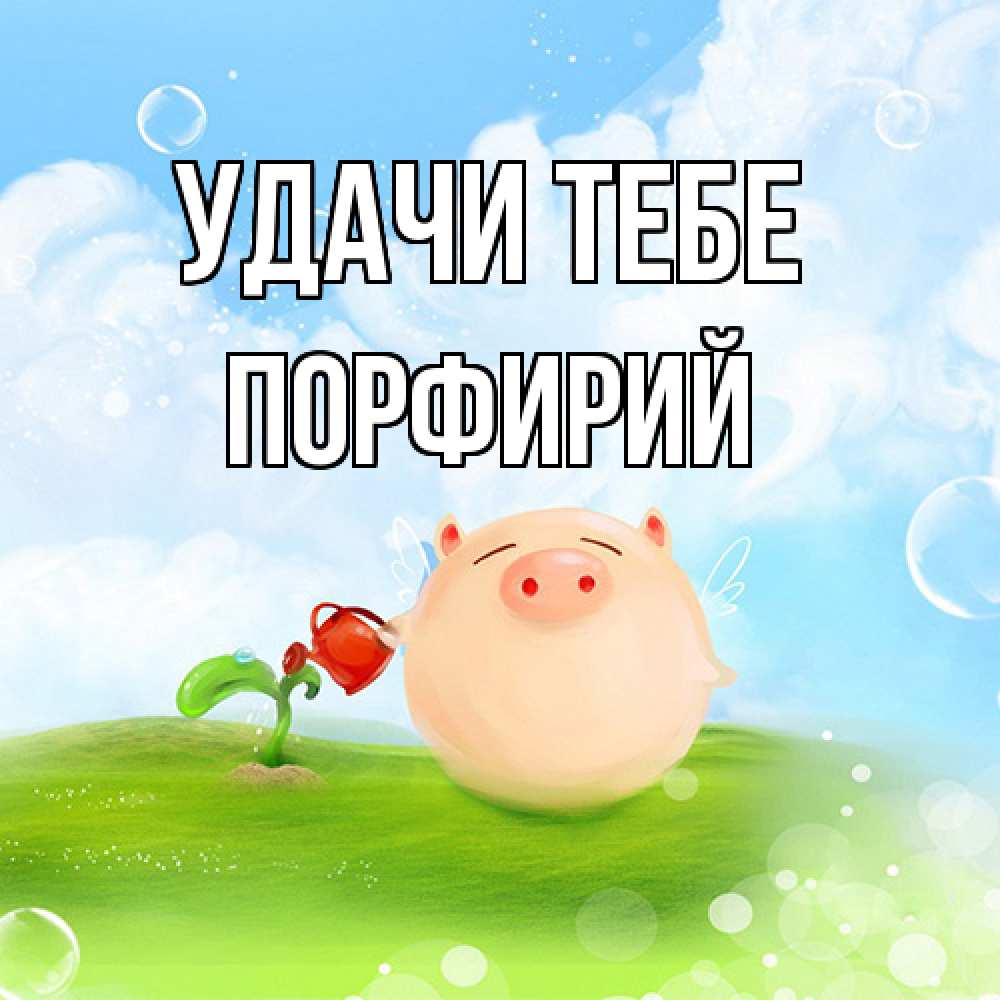 Открытка на каждый день с именем, Порфирий Удачи тебе поросенок поливает цветок. летнее настроение Прикольная открытка с пожеланием онлайн скачать бесплатно 