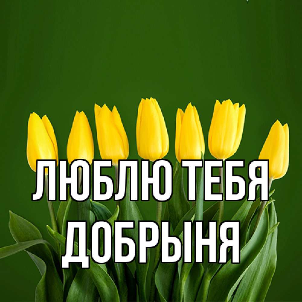 Открытка на каждый день с именем, Добрыня Люблю тебя желтого цвета 3 Прикольная открытка с пожеланием онлайн скачать бесплатно 