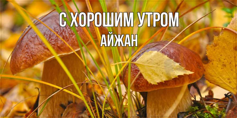 Открытка на каждый день с именем, Айжан С хорошим утром осенние грибы Прикольная открытка с пожеланием онлайн скачать бесплатно 