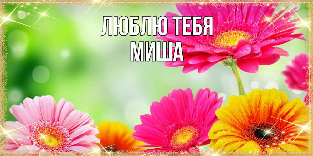 Открытка на каждый день с именем, Миша Люблю тебя цветочки для любимой женщины Прикольная открытка с пожеланием онлайн скачать бесплатно 