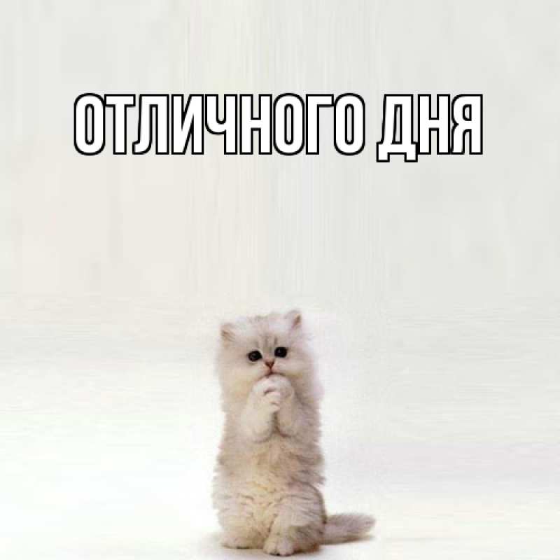 Картинка Обнимашки, Ева