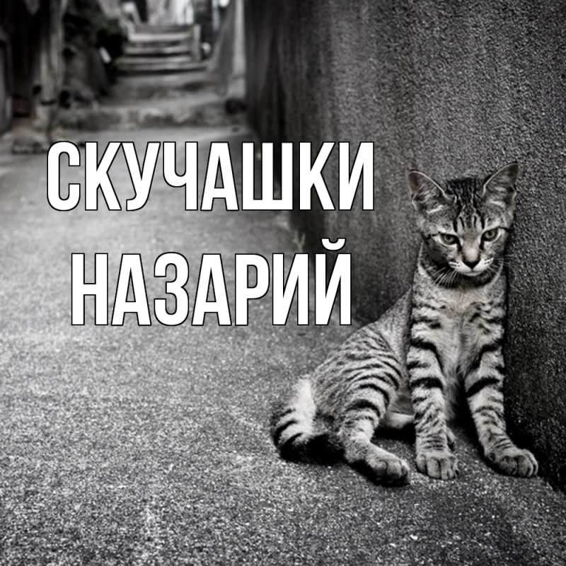 Картинка Скучашки, Назарий