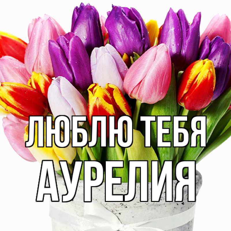 Картинка Люблю тебя, Аурелия